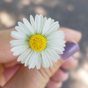 Meet your Posher, Kara